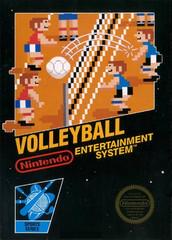 Volleyball [BL] [5 Screw] - Nintendo NES - Game Only